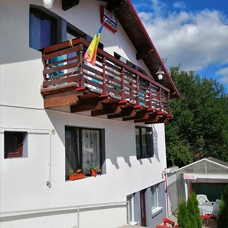Vila Darian Villa Buşteni Exteriör bild