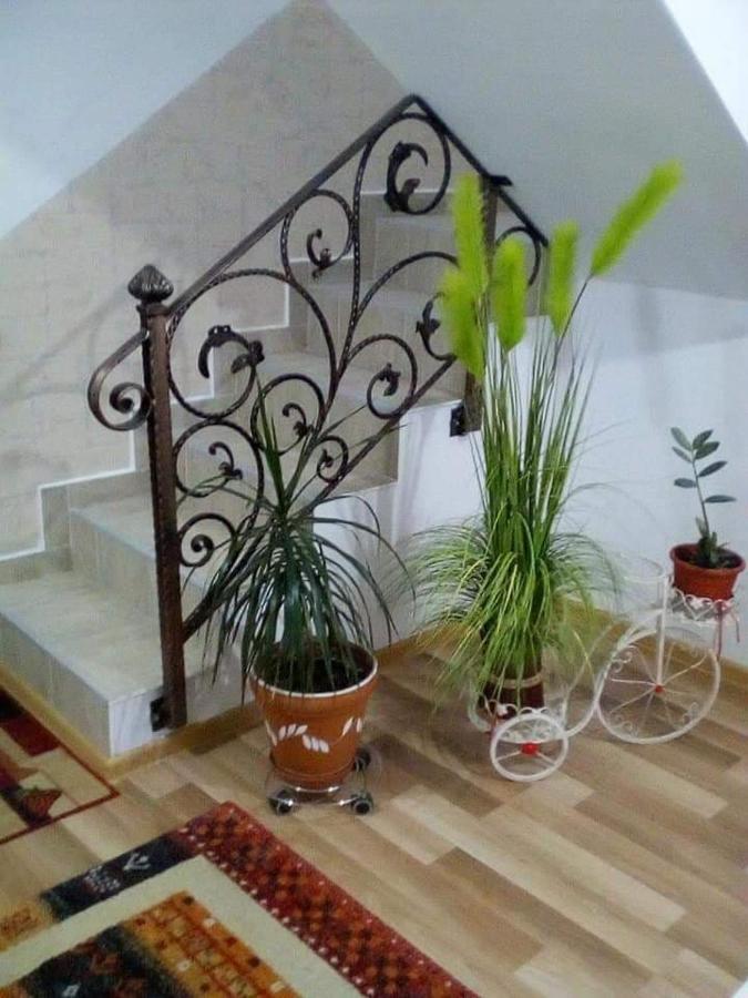 Vila Darian Villa Buşteni Exteriör bild