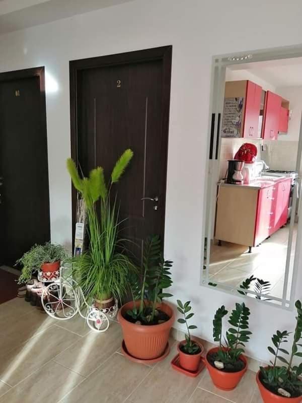 Vila Darian Villa Buşteni Exteriör bild
