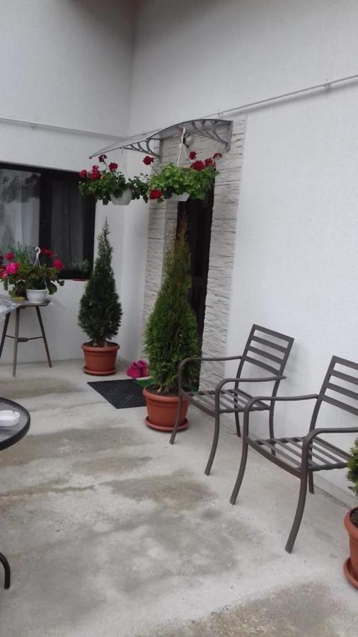 Vila Darian Villa Buşteni Exteriör bild
