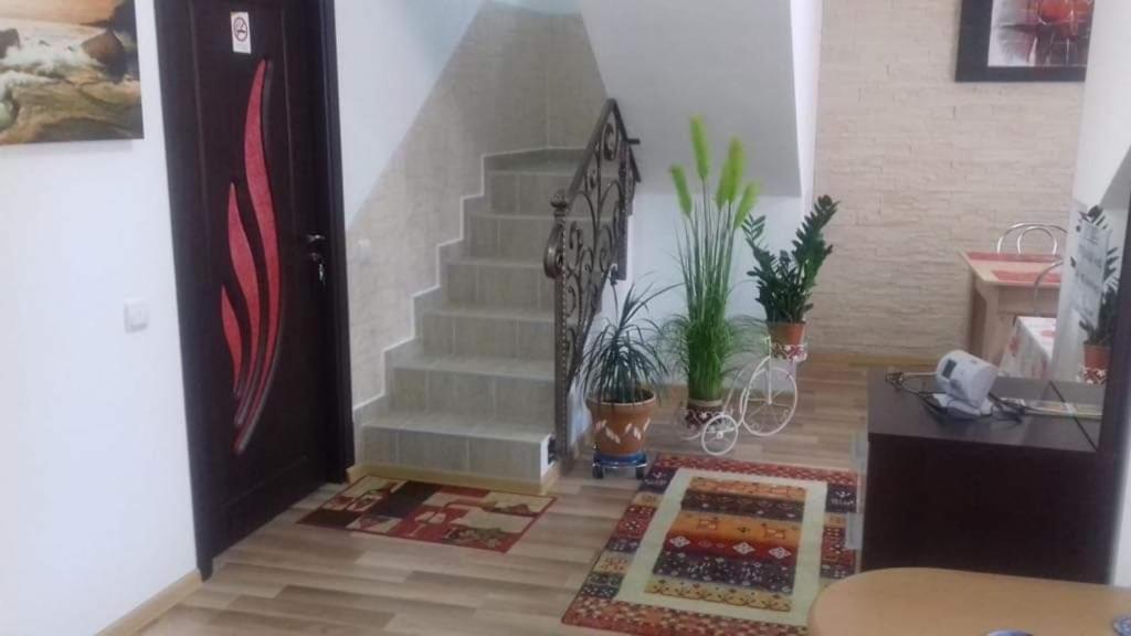 Vila Darian Villa Buşteni Exteriör bild