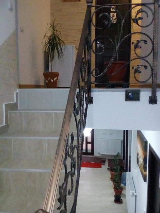 Vila Darian Villa Buşteni Exteriör bild