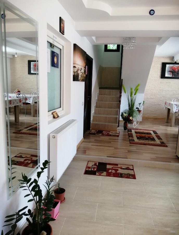 Vila Darian Villa Buşteni Exteriör bild